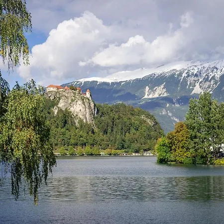 Iglica - Penthouse * Bohinjska Bela